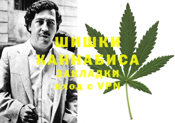 сатива Балабаново